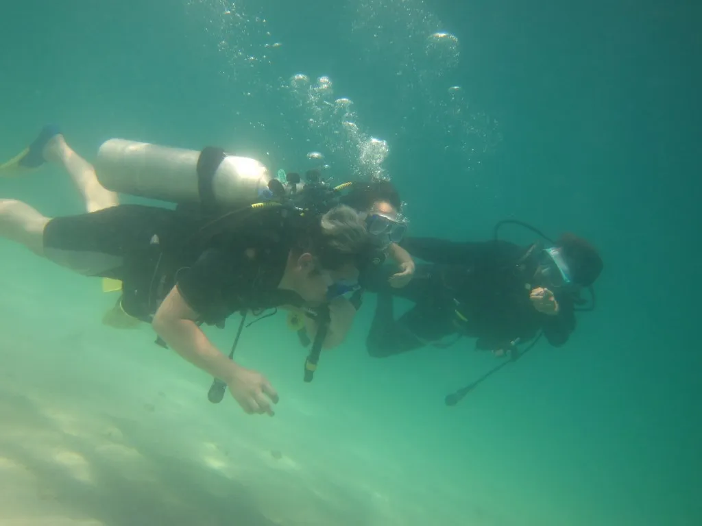 Two divers swimming together just above the sandy seabed